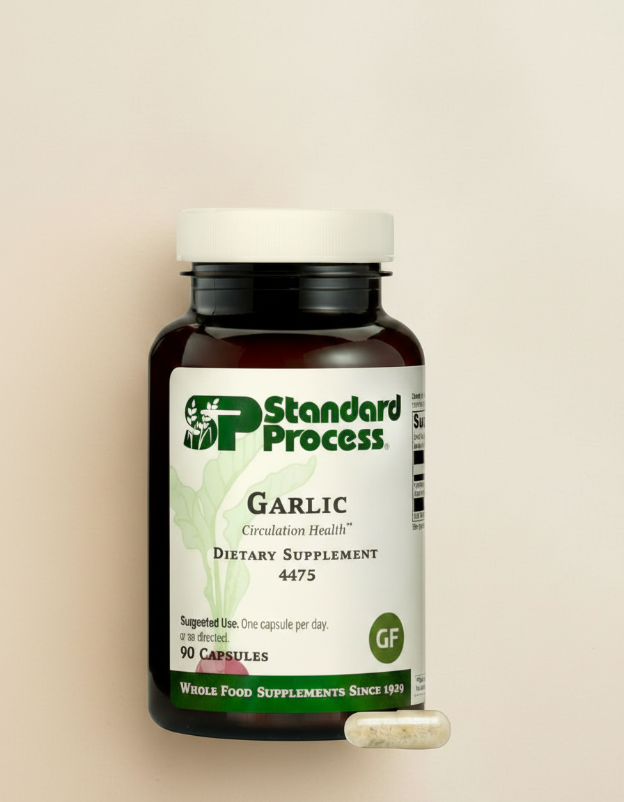 Garlic
