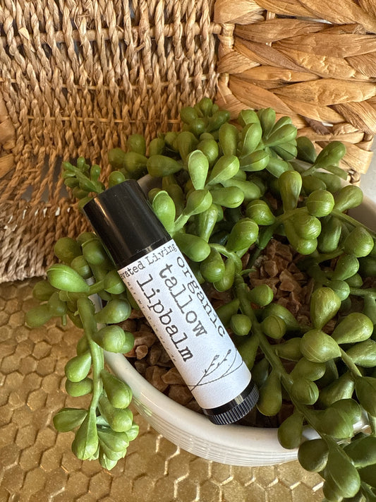 Organic Tallow Lip Balm