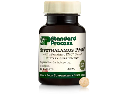 Hypothalamus