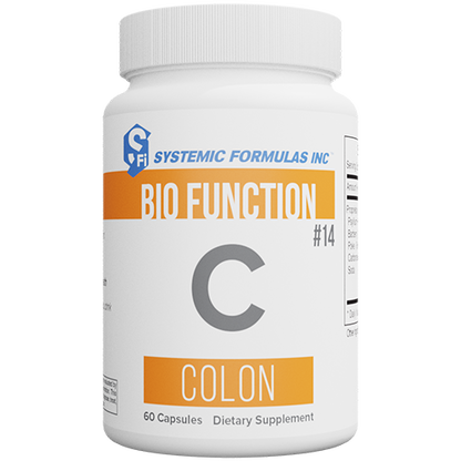 C- Colon