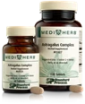 Astragalus Complex