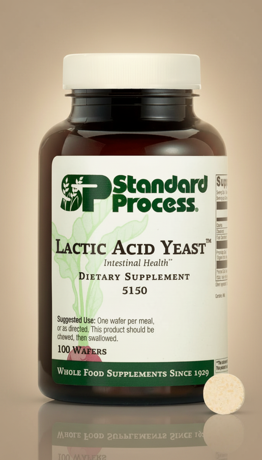 Lactic Acid Yeast